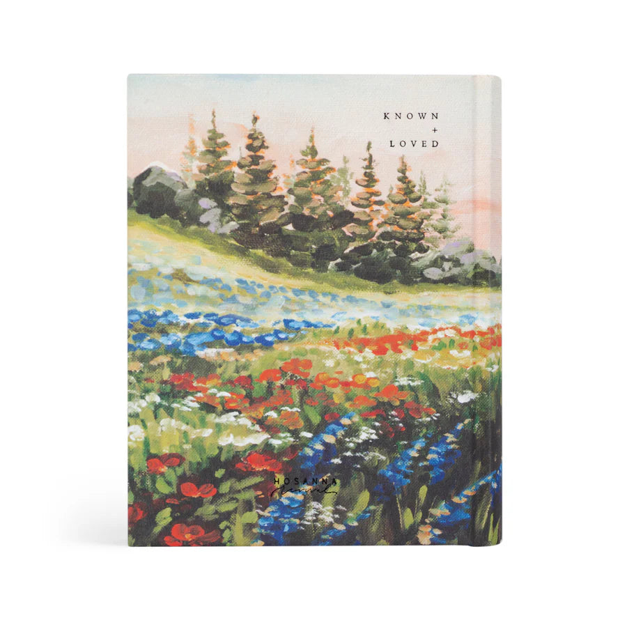 NLT Coram Bible