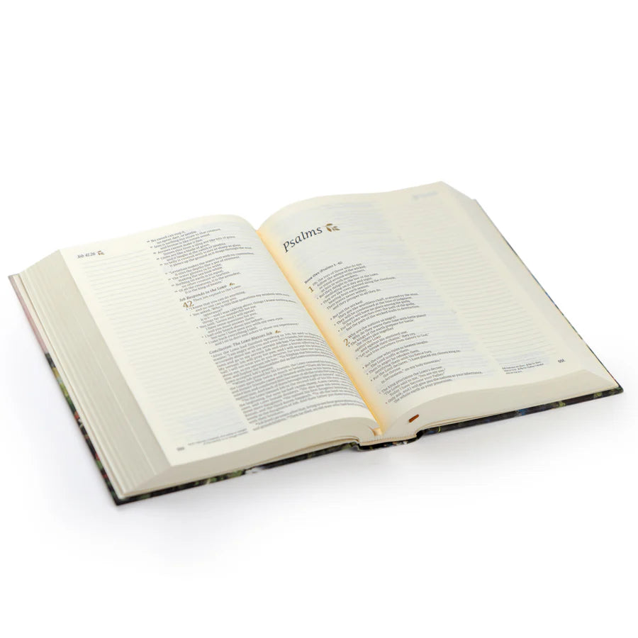 NLT Coram Bible