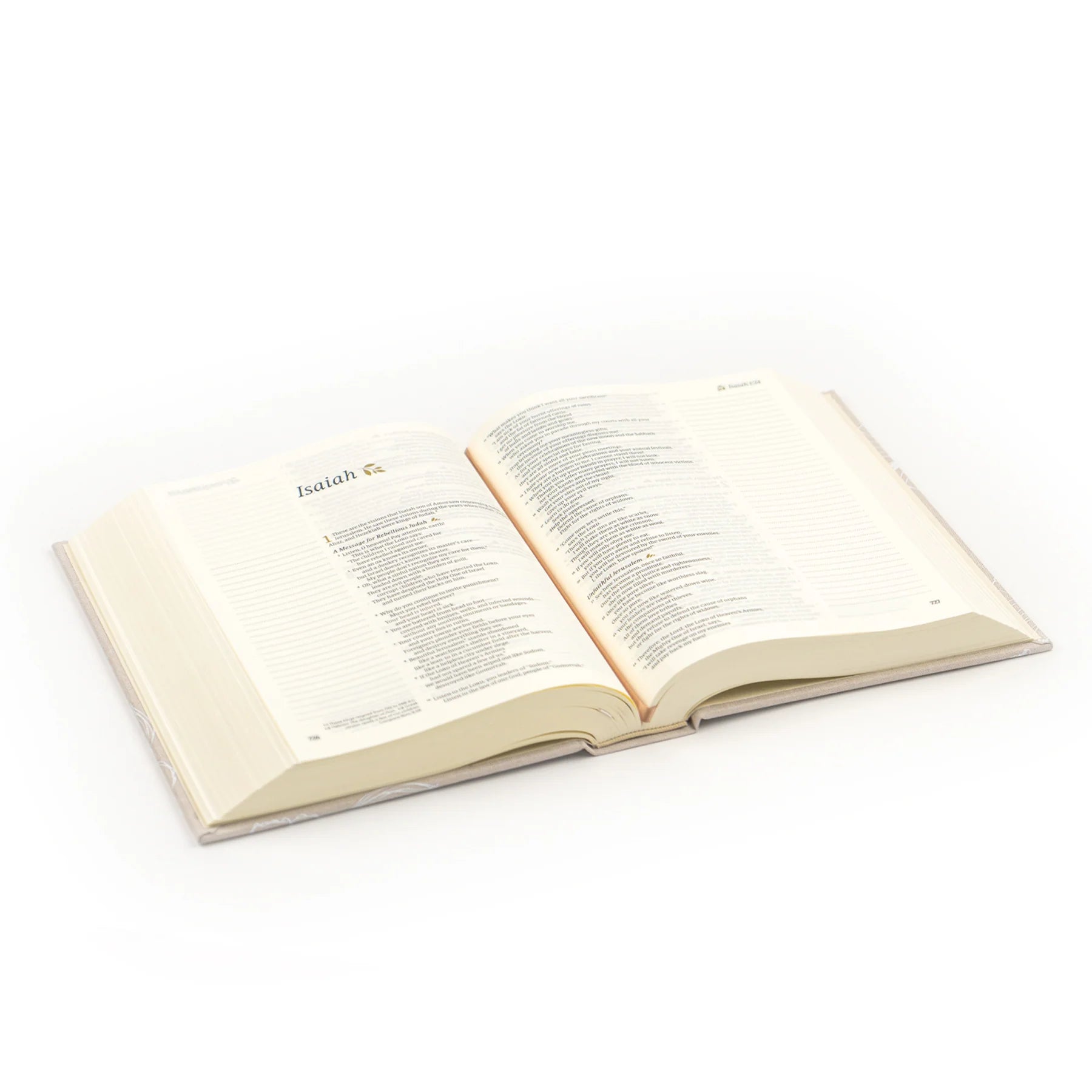 NLT Cordova Bible