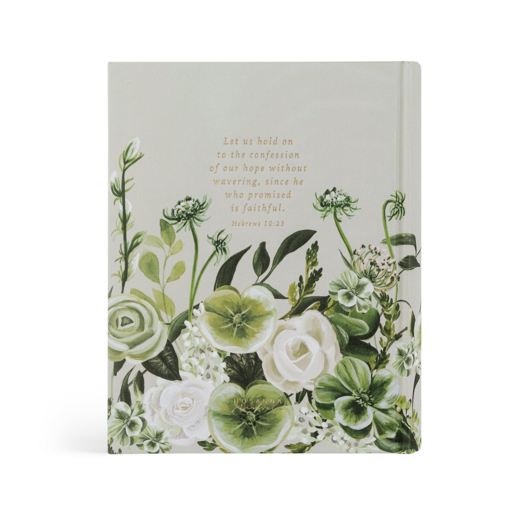 CSB Dorset Bible