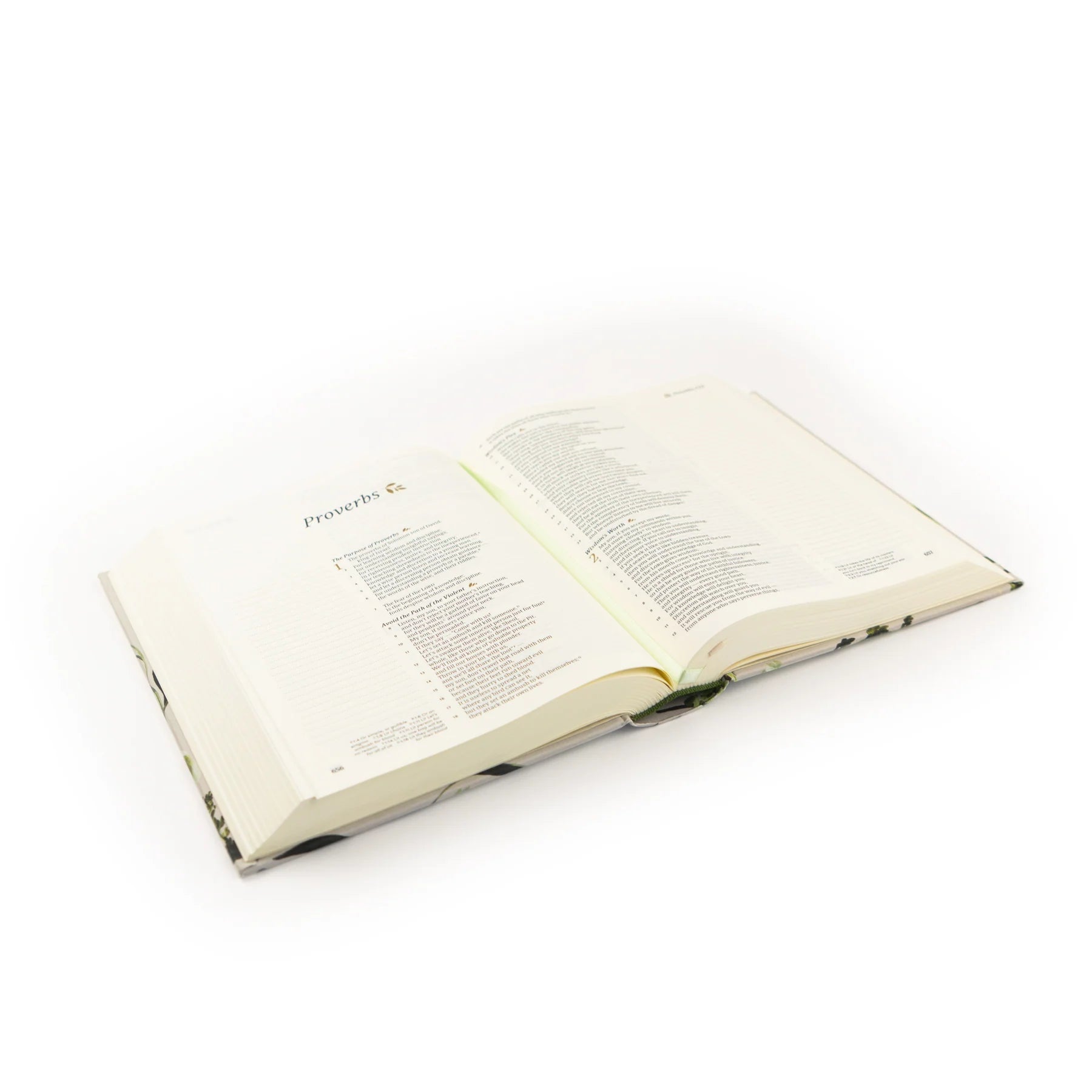 CSB Dorset Bible