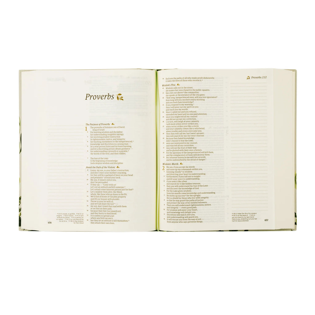 CSB Dorset Bible