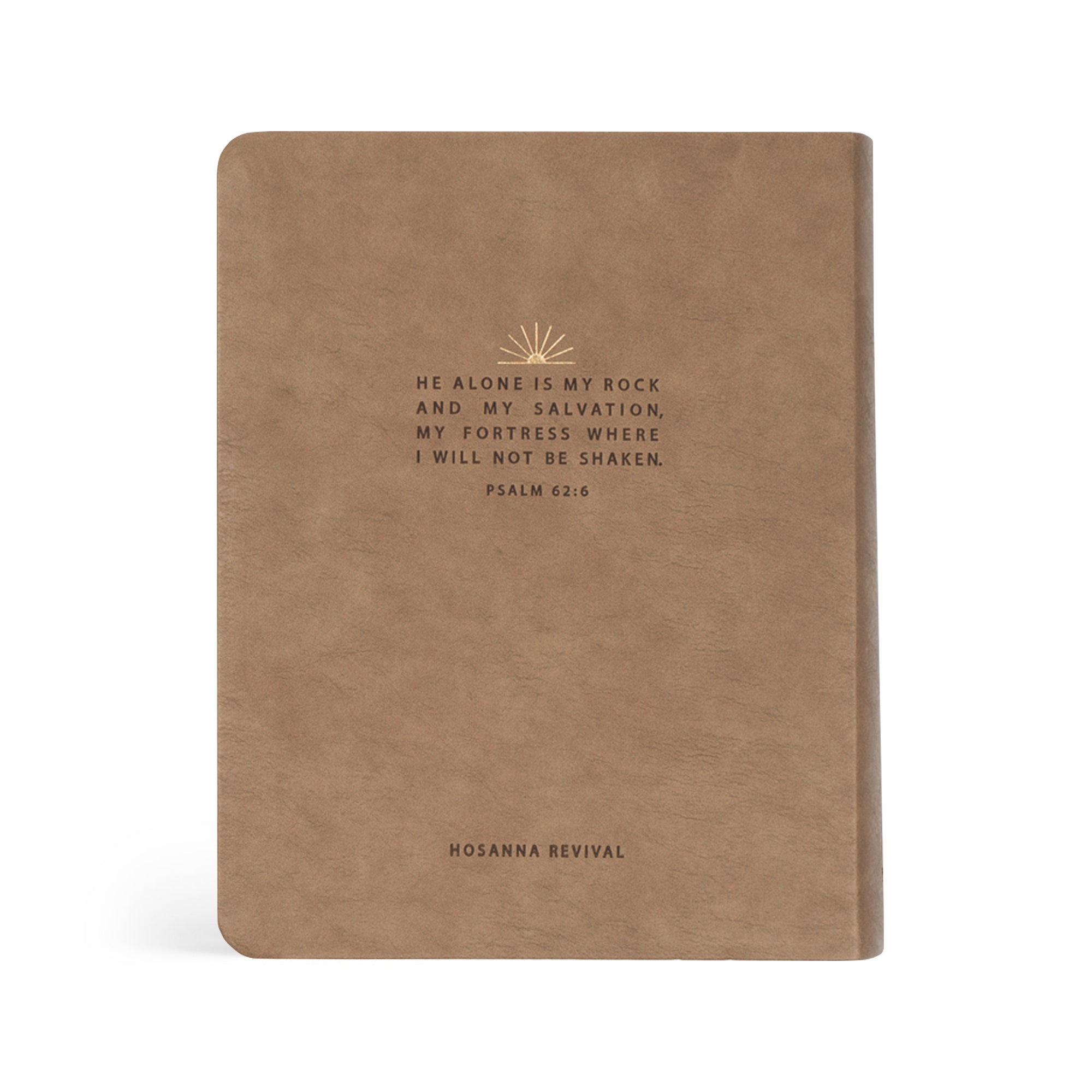 NLT Galilee Bible