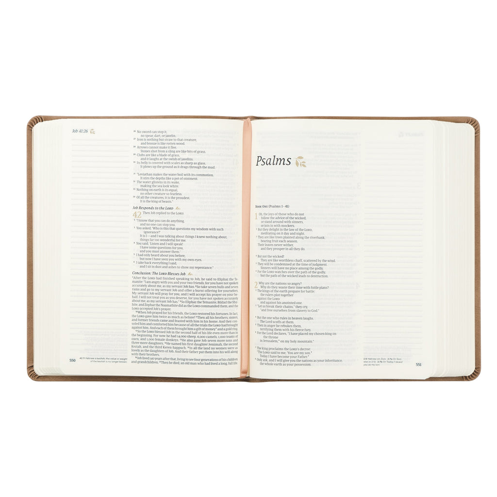 NLT Galilee Bible