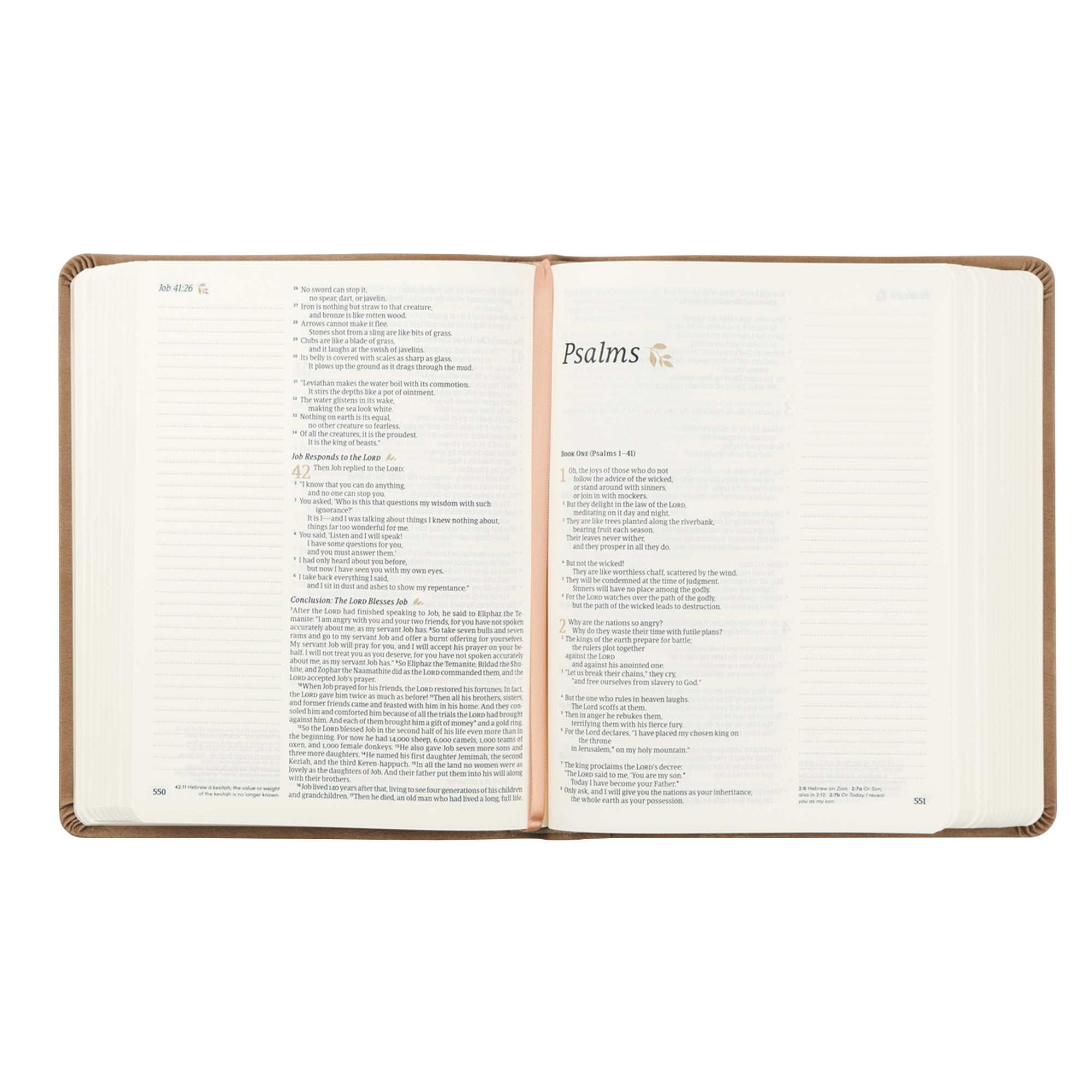 NLT Galilee Bible