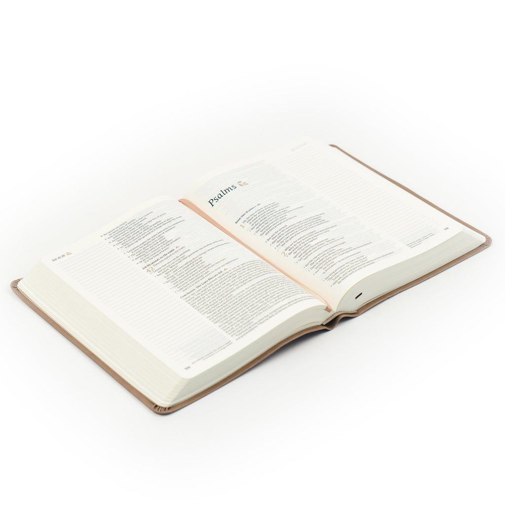 NLT Galilee Bible