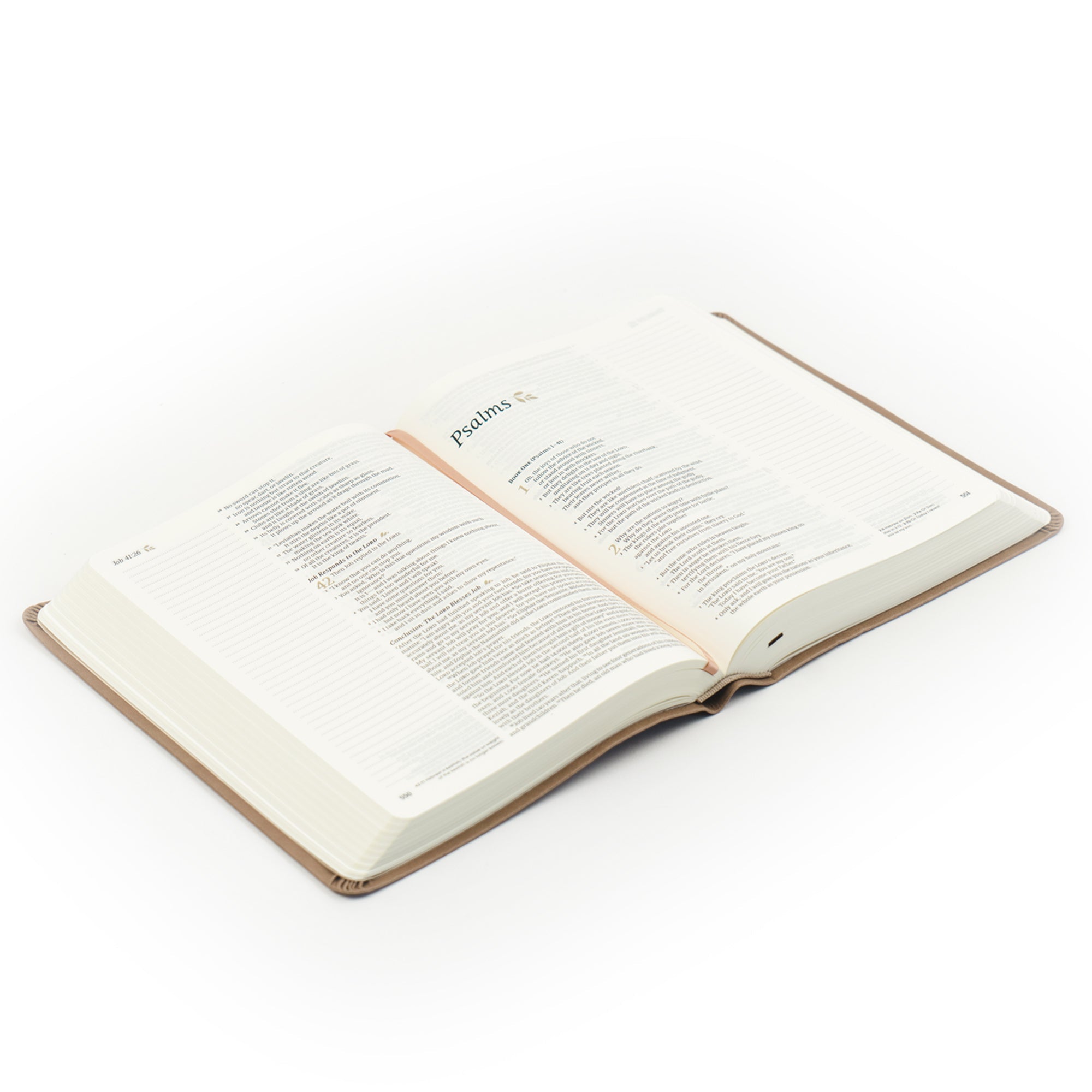 NLT Galilee Bible