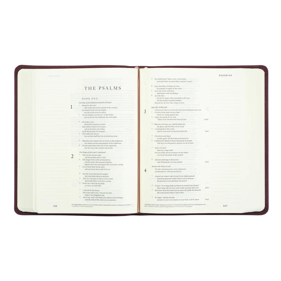 ESV Journaling Helena Bible