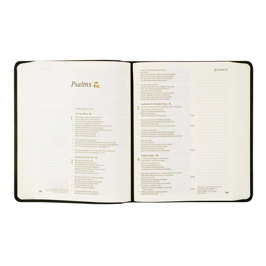 CSB Jerusalem Bible