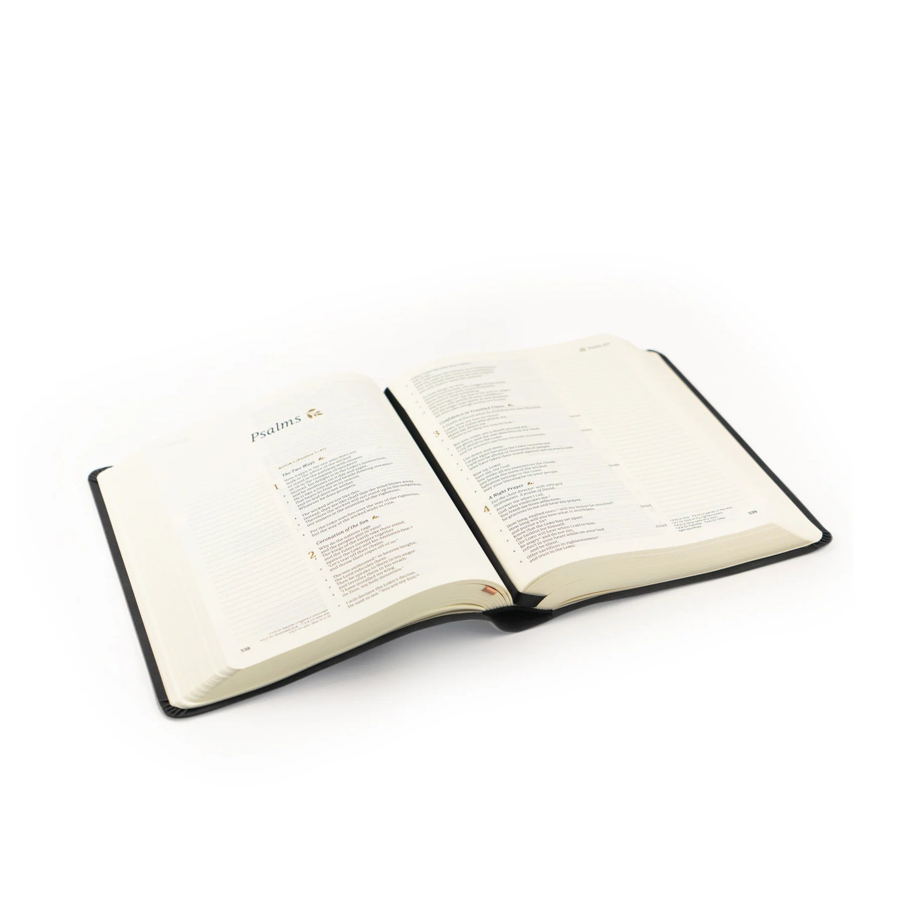 CSB Jerusalem Bible