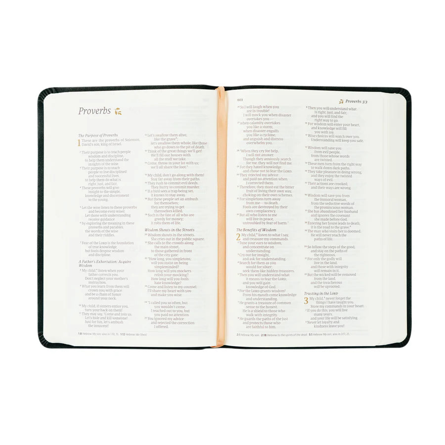 NLT Compact Jerusalem Bible