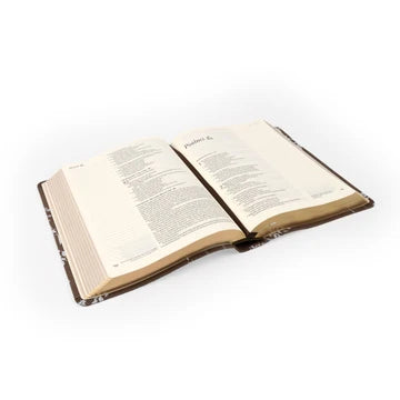 NLT Notetaking Lijiang Bible