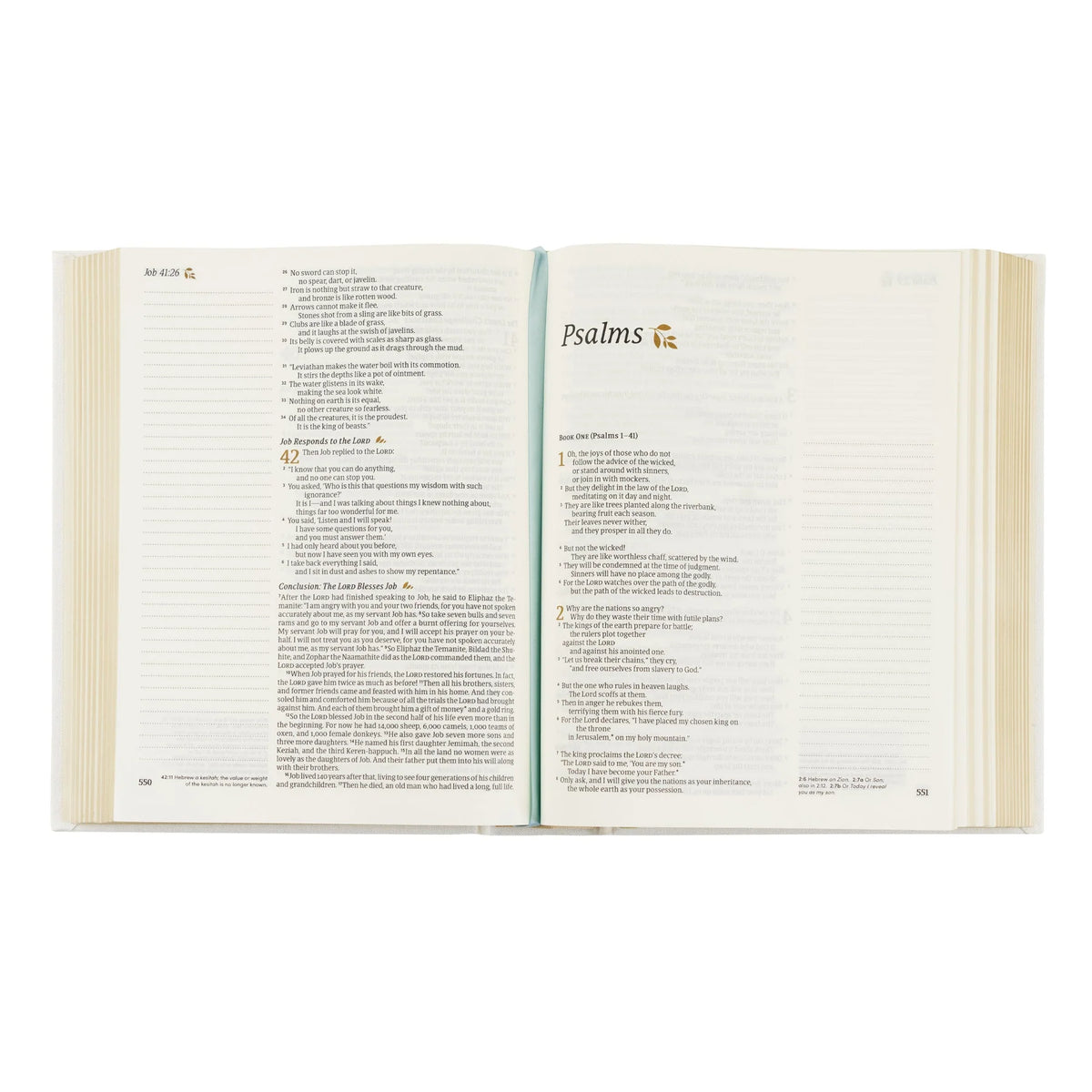 NLT Lisbon Bible