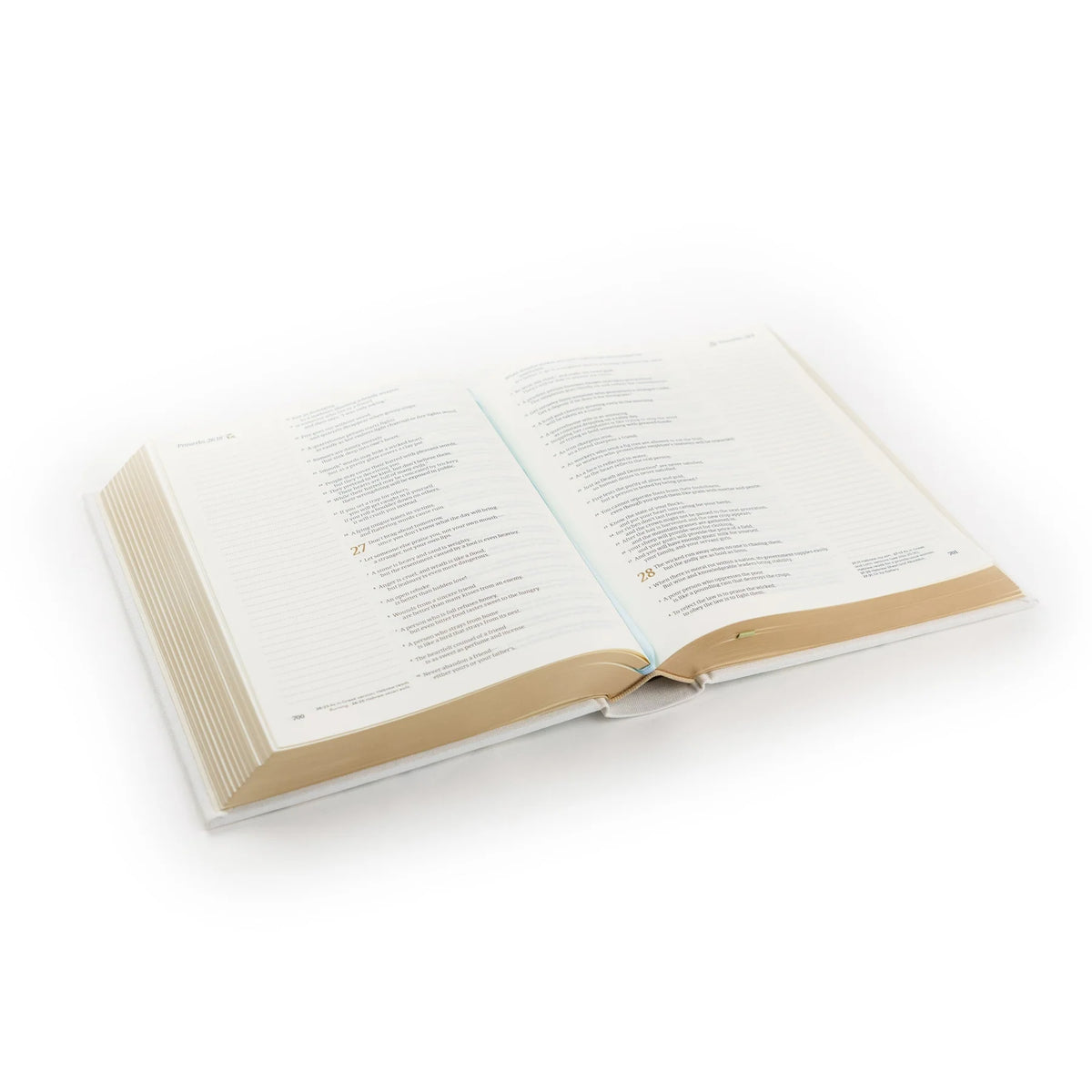 NLT Lisbon Bible