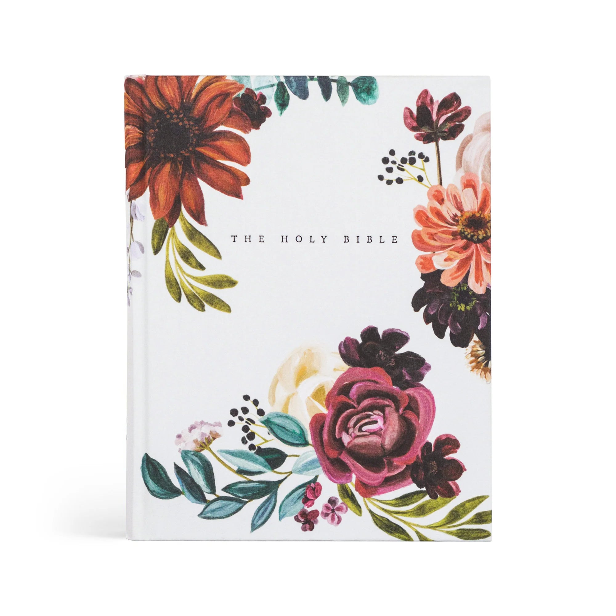 NLT Madrid Bible