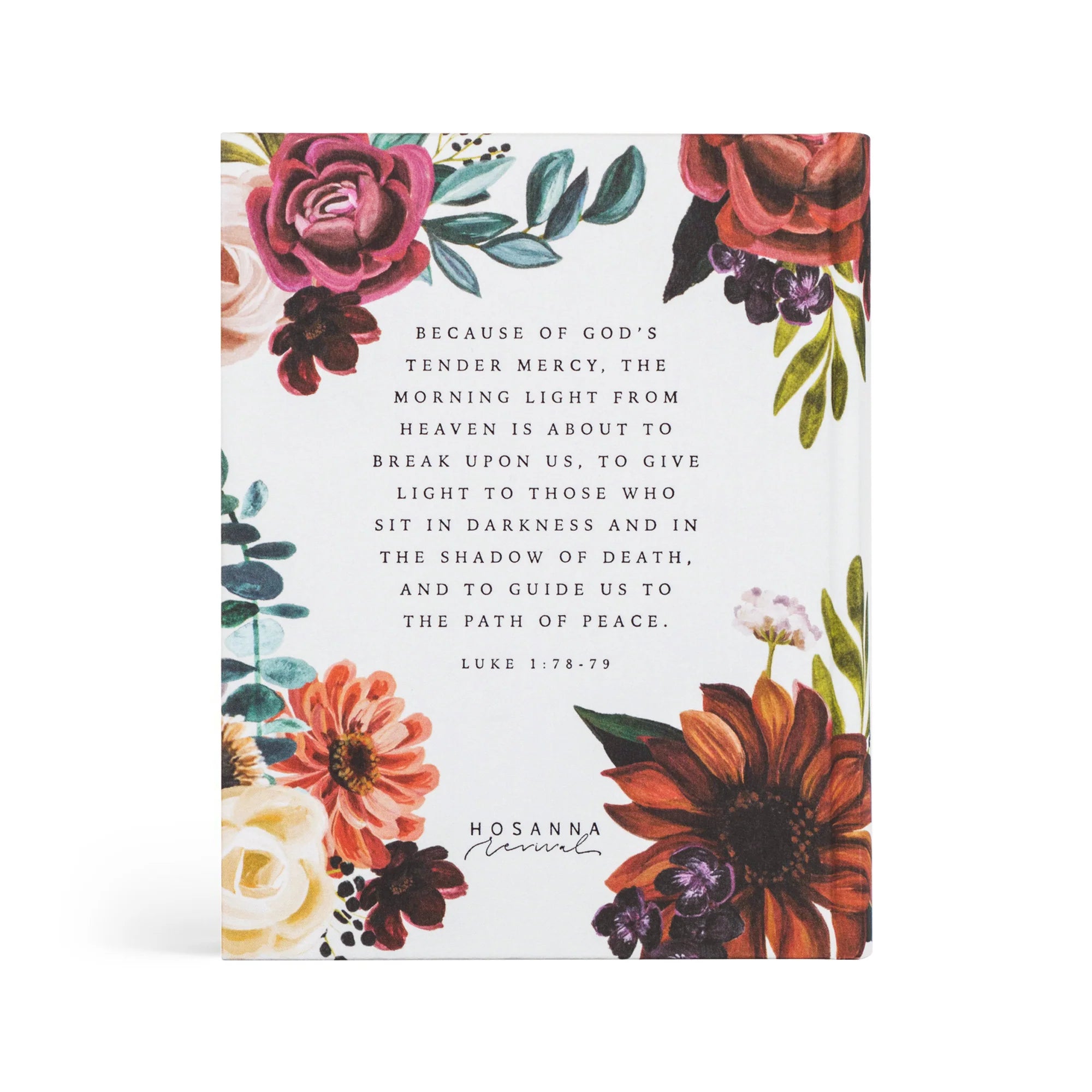 NLT Madrid Bible