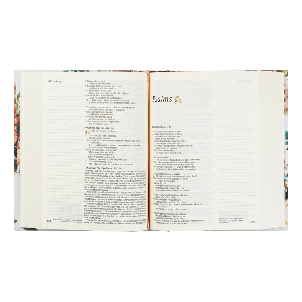 NLT Madrid Bible
