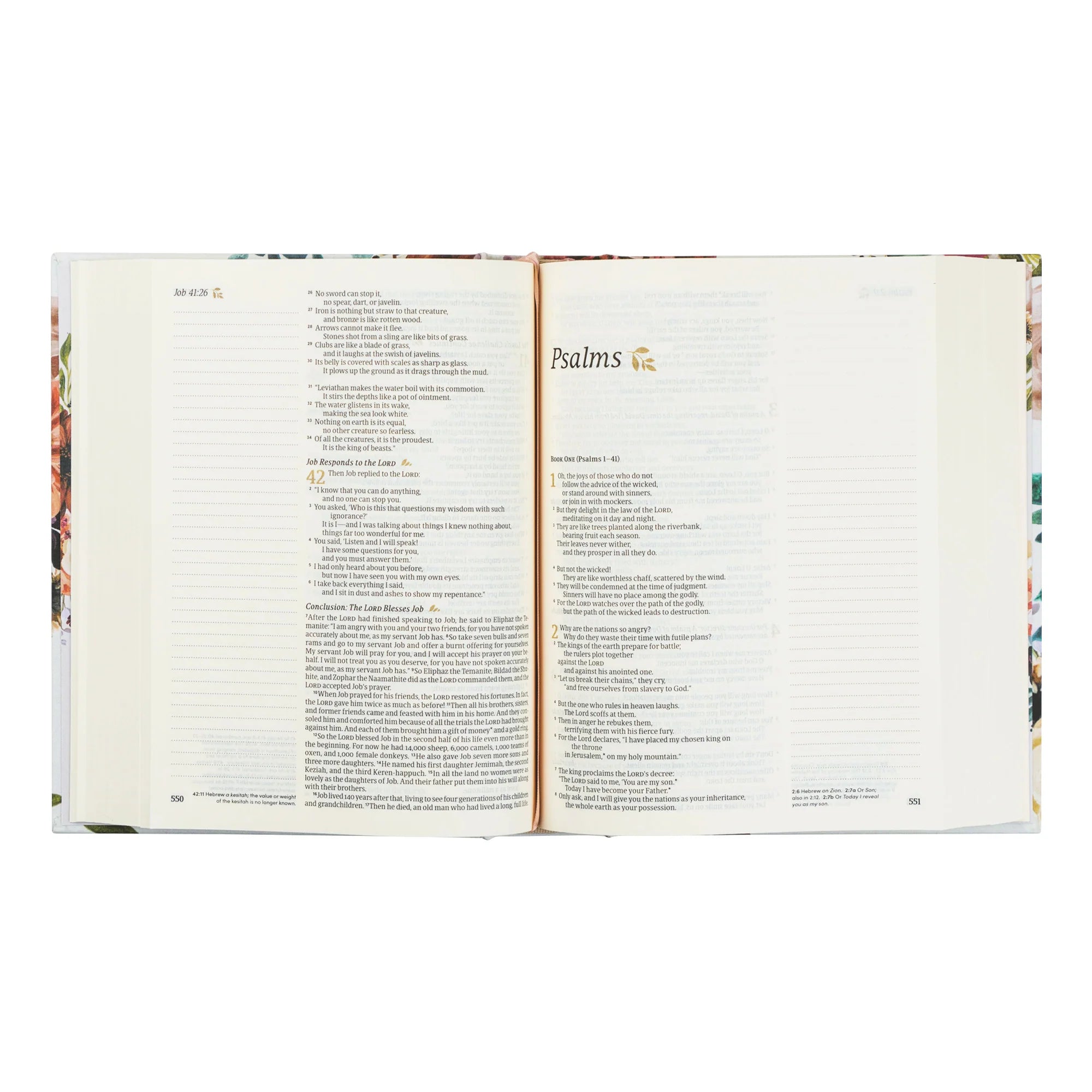 NLT Madrid Bible