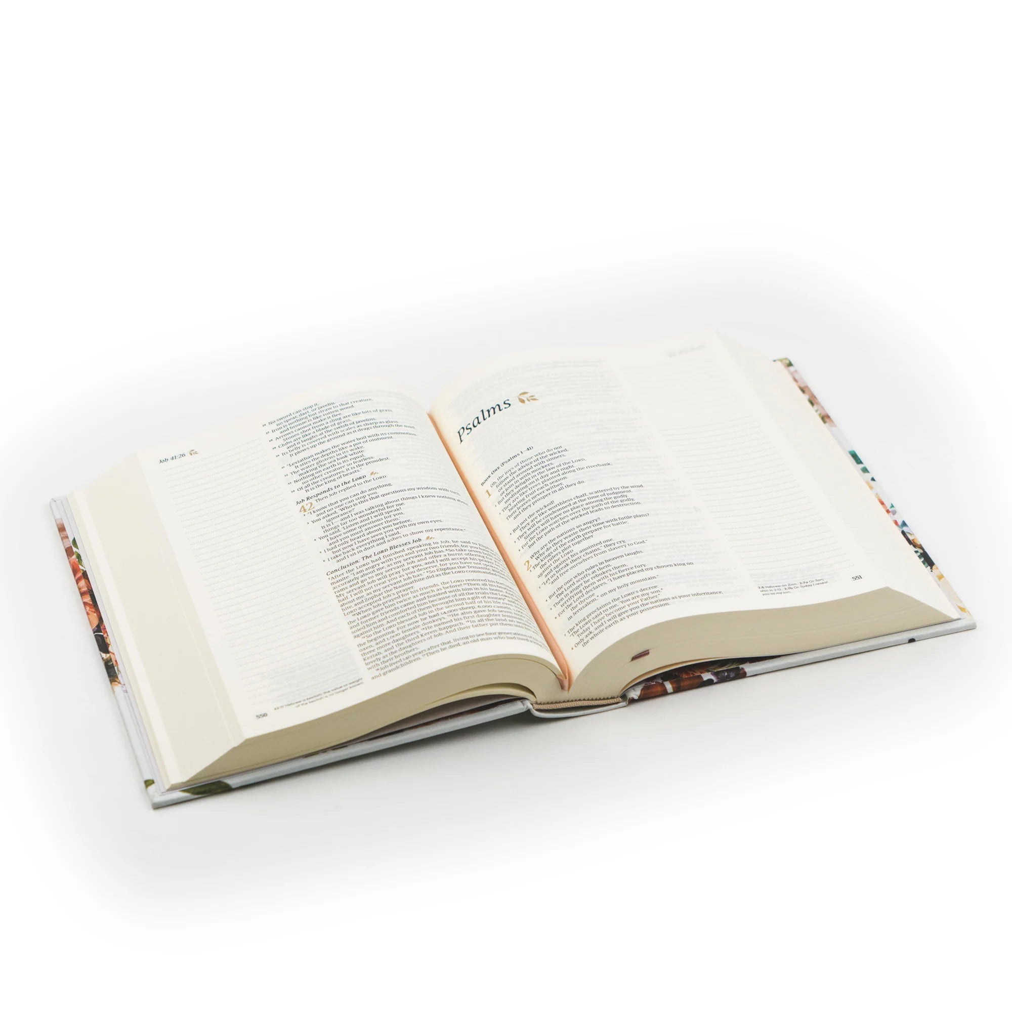 NLT Madrid Bible