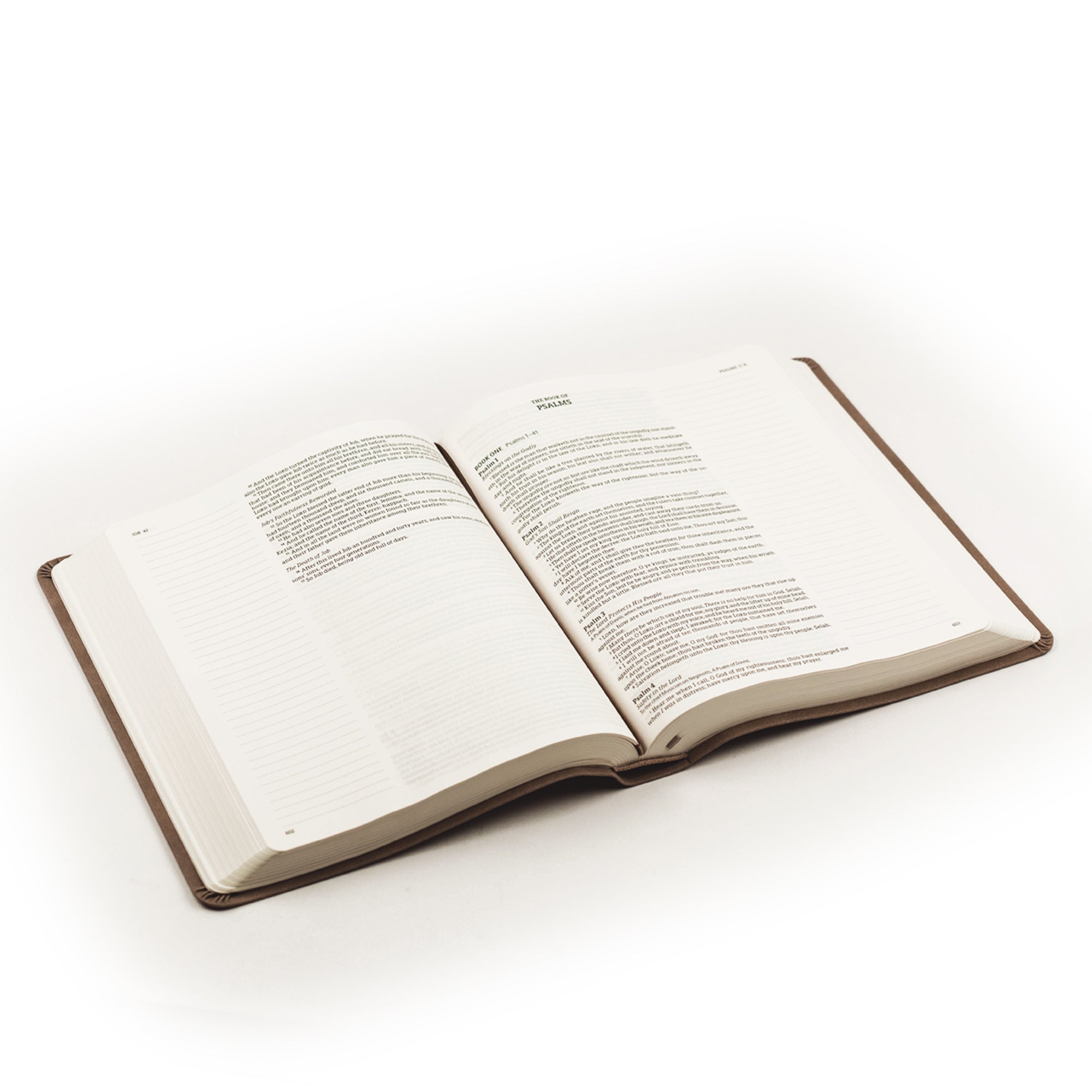 KJV Large Print Marlo Bible