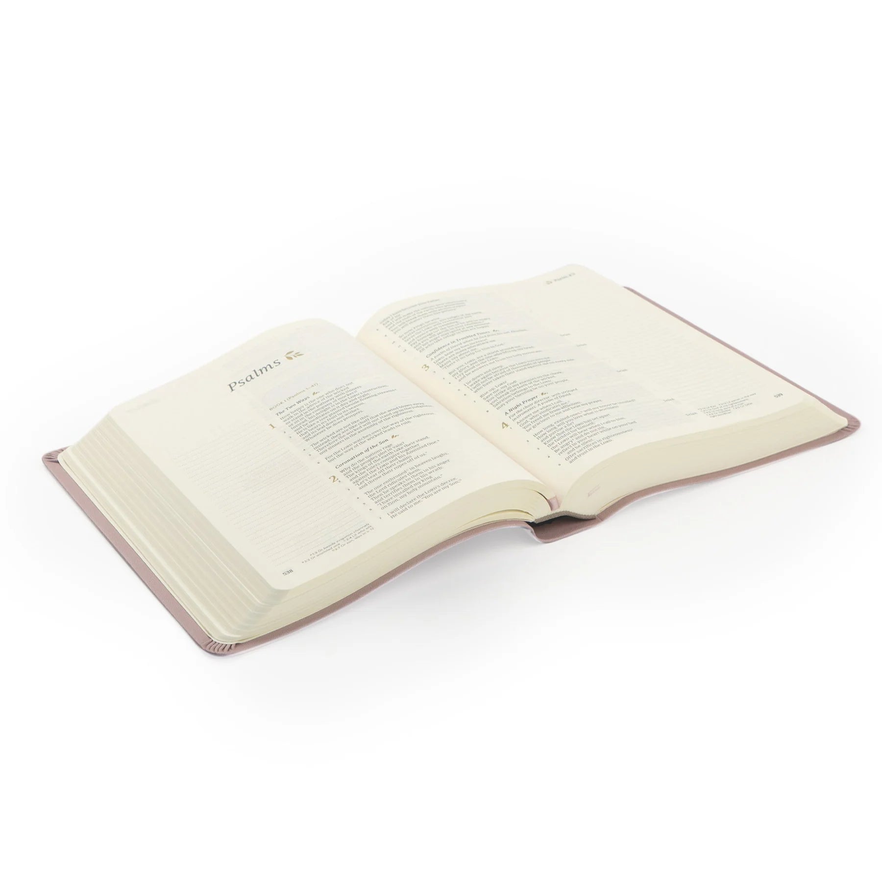 CSB Bible Mauves