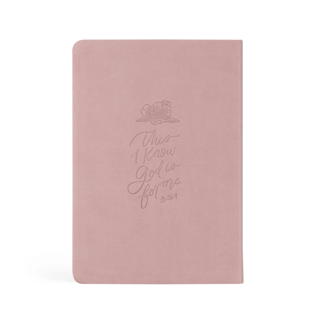 Mauves Notebook