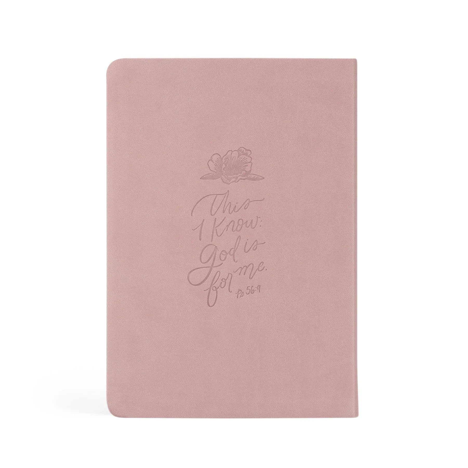 Mauves Notebook