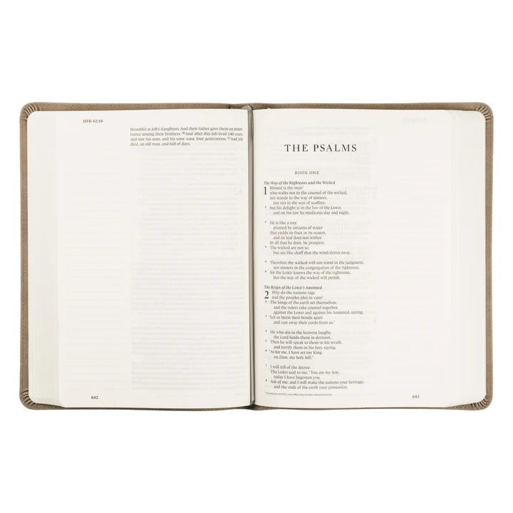 ESV Large Print Nara Bible