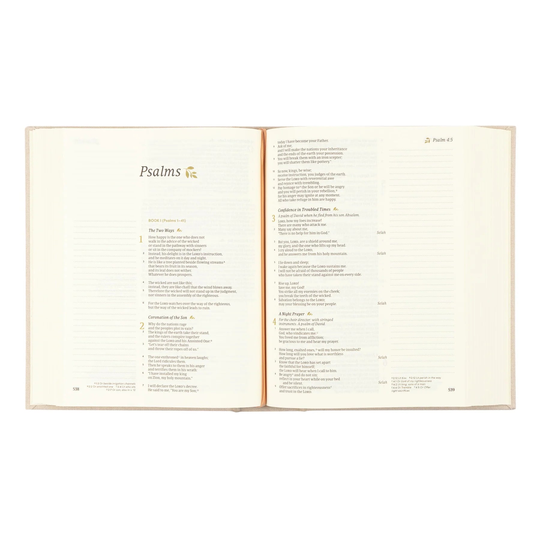 CSB Oxford Bible