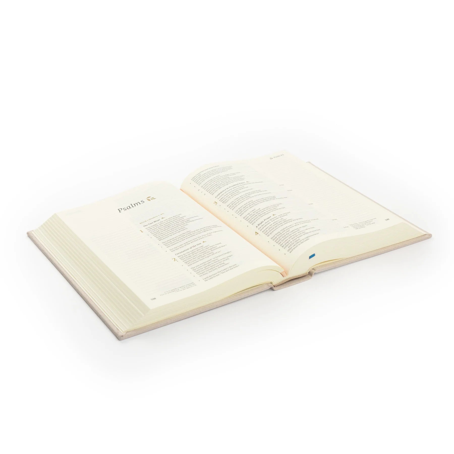 CSB Oxford Bible