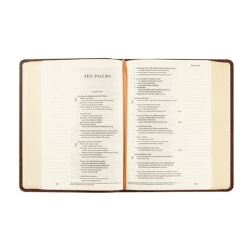 ESV Journaling Palma Bible