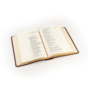 ESV Journaling Palma Bible