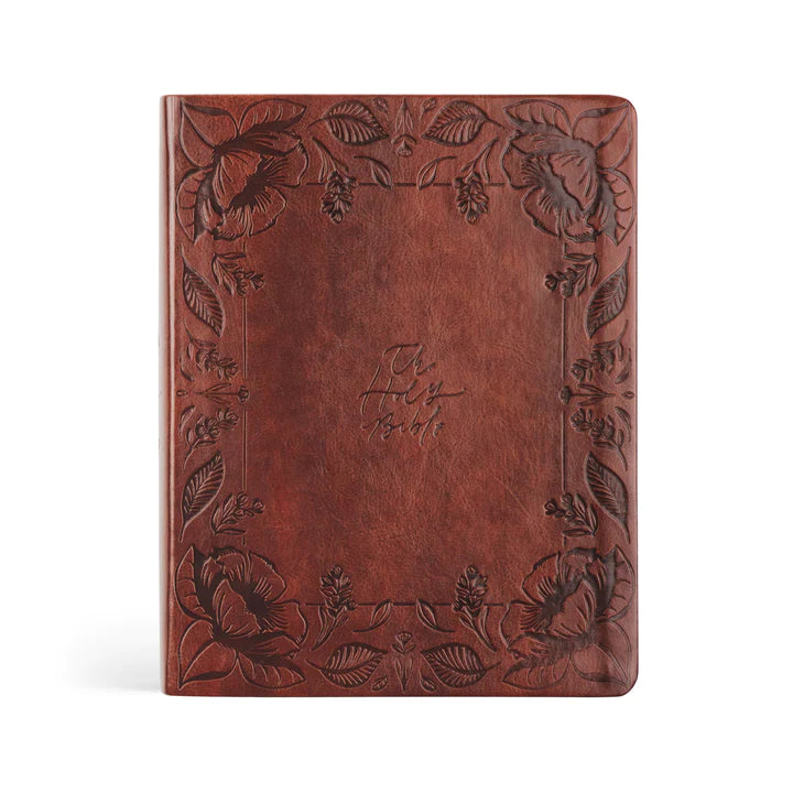 NLT Santa Elena Bible