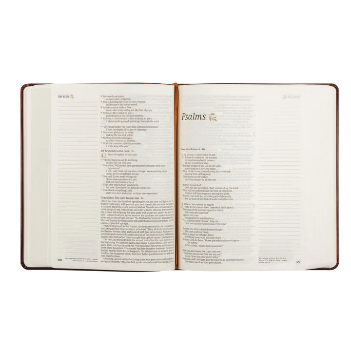 NLT Santa Elena Bible