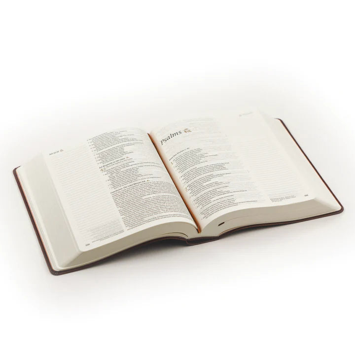 NLT Santa Elena Bible