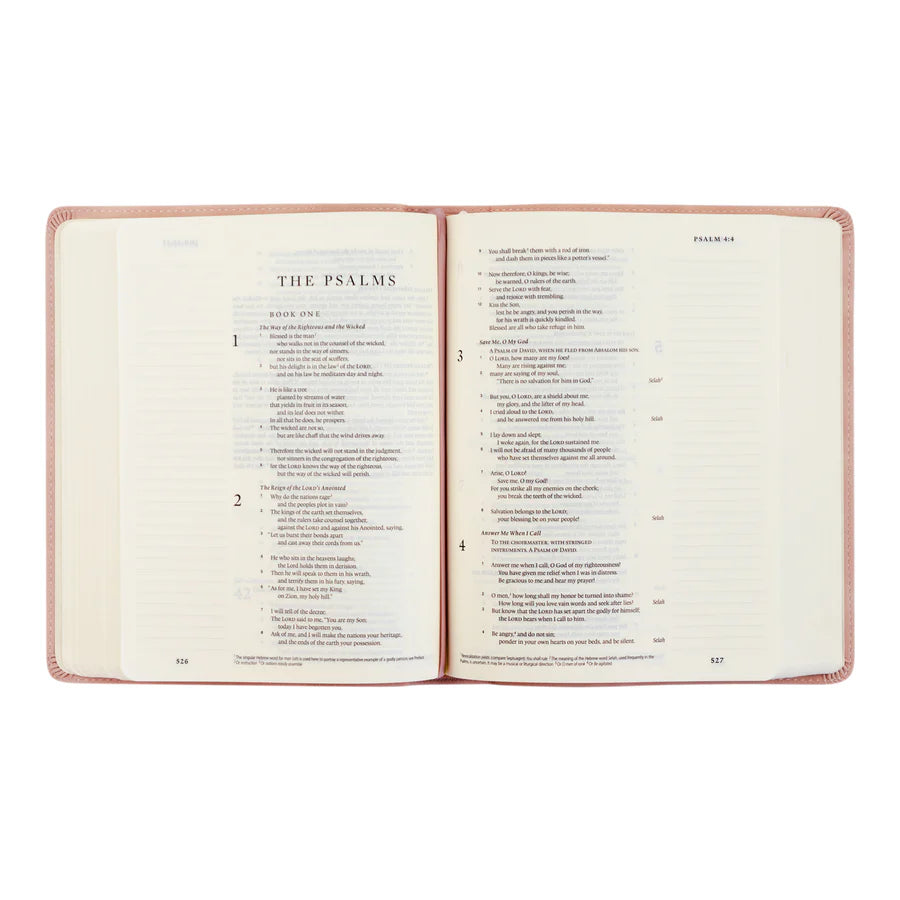 ESV Journaling Shiloh Bible