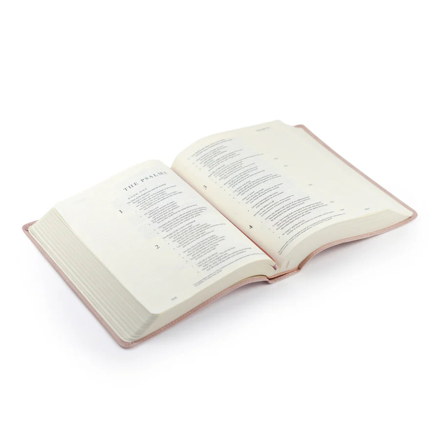 ESV Journaling Shiloh Bible