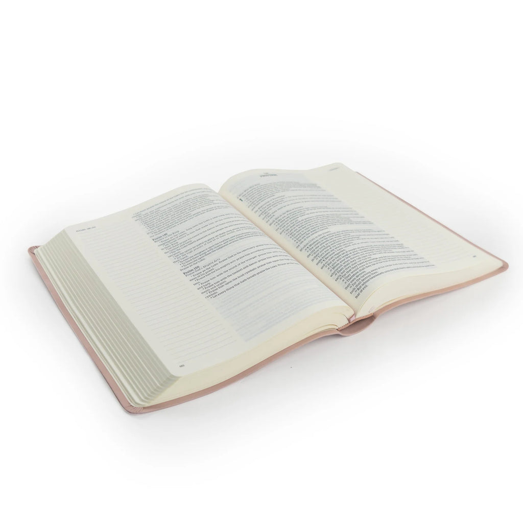 KJV Shiloh Bible