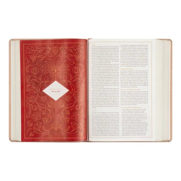 CSB Women's Study Sonora Bible