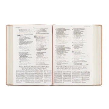 CSB Women's Study Sonora Bible