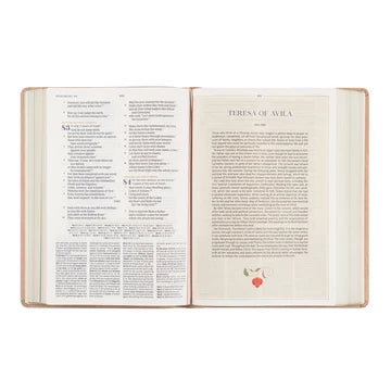 CSB Women's Study Sonora Bible