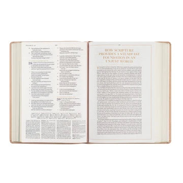CSB Women's Study Sonora Bible