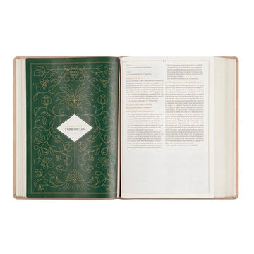 CSB Women's Study Sonora Bible