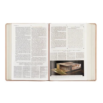 CSB Women's Study Sonora Bible