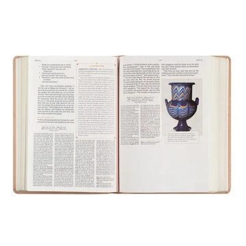 CSB Women's Study Sonora Bible