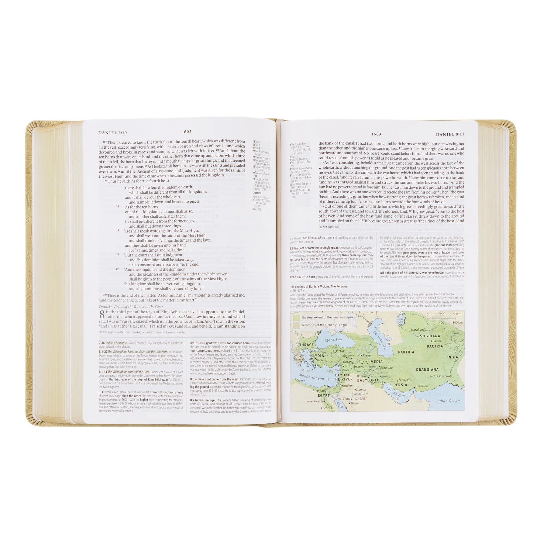 ESV Study Bible Sonora