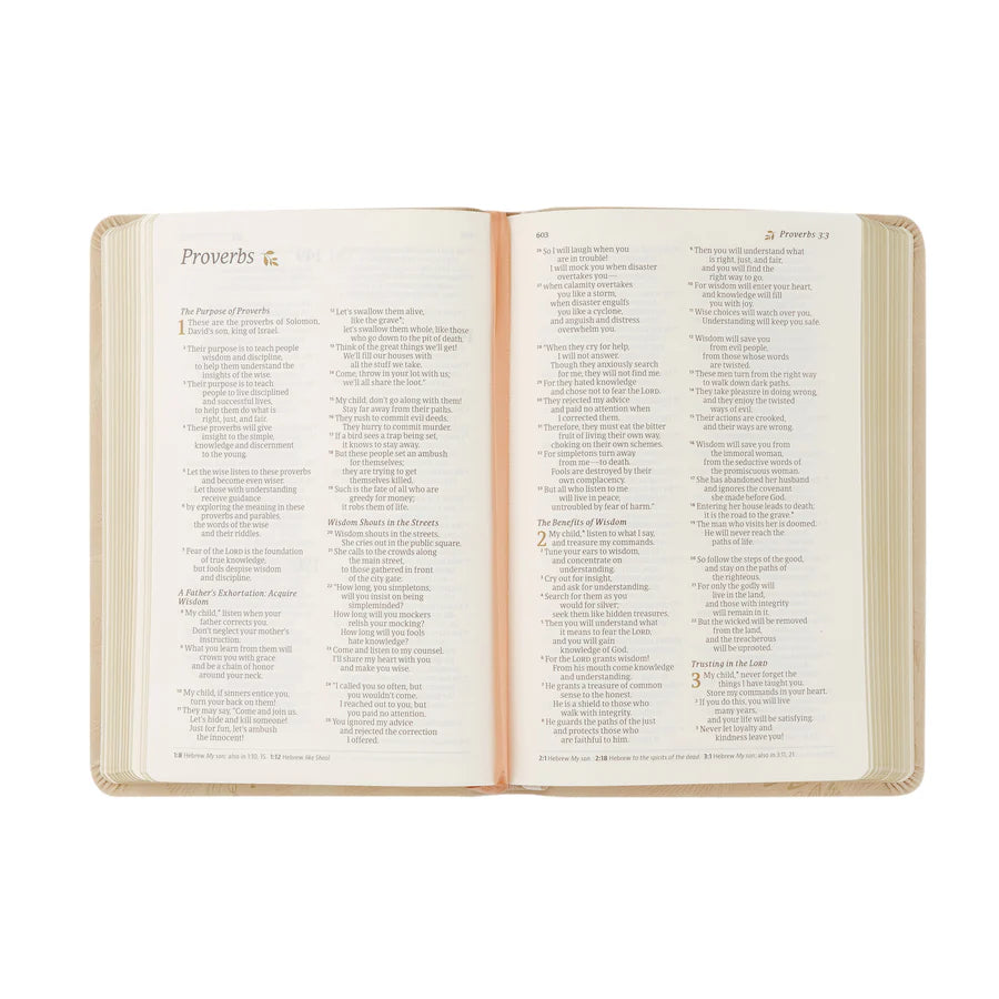 NLT Compact Sonora Bible