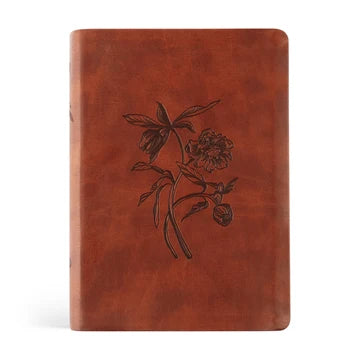 ESV Large Print Journaling Verona Bible
