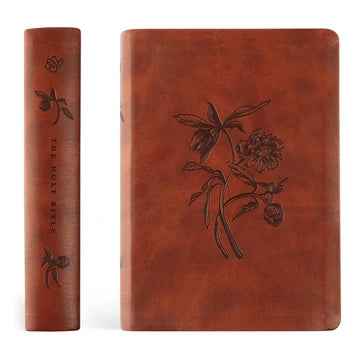 ESV Large Print Journaling Verona Bible
