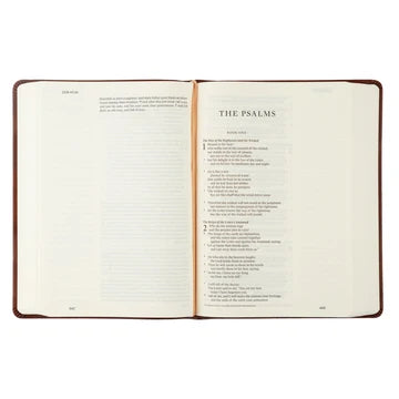 ESV Large Print Journaling Verona Bible